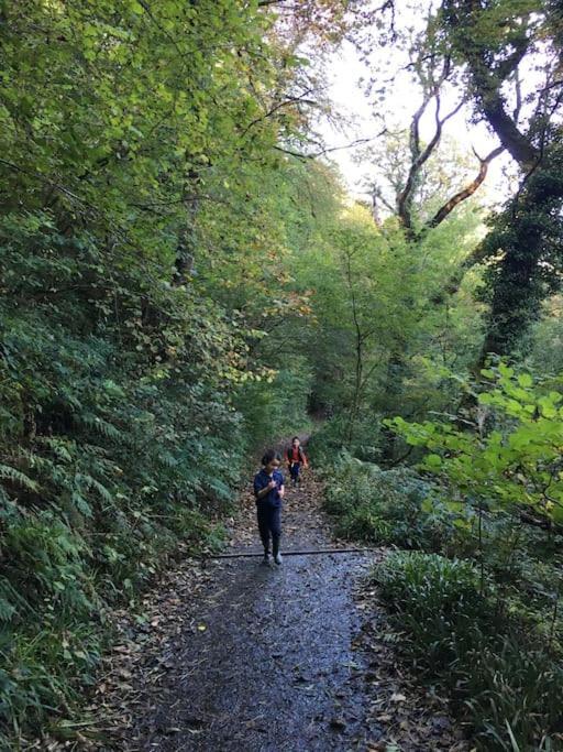 Tamar Valley, Cornwall Callington Dış mekan fotoğraf
